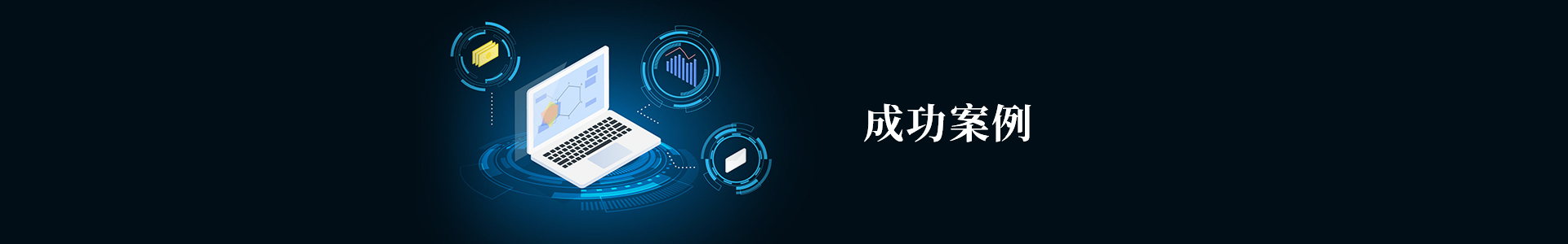 成功案例
